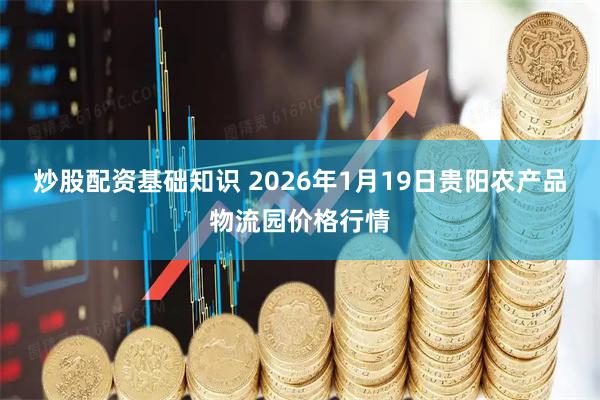 炒股配资基础知识 2026年1月19日贵阳农产品物流园价格行情