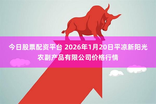 今日股票配资平台 2026年1月20日平凉新阳光农副产品有限公司价格行情