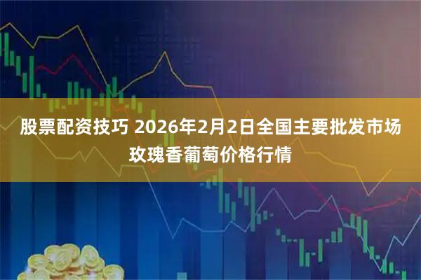 股票配资技巧 2026年2月2日全国主要批发市场玫瑰香葡萄价格行情